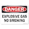 Signmission OSHA Danger Decal, Explosive Gas No Smoking, 18in X 12in Decal, 12" W, 18" L, Landscape OS-DS-D-1218-L-19350 - alternate 1